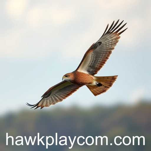 Exploring the Dynamic World of Simulation Games: A Focus on Hawk Play